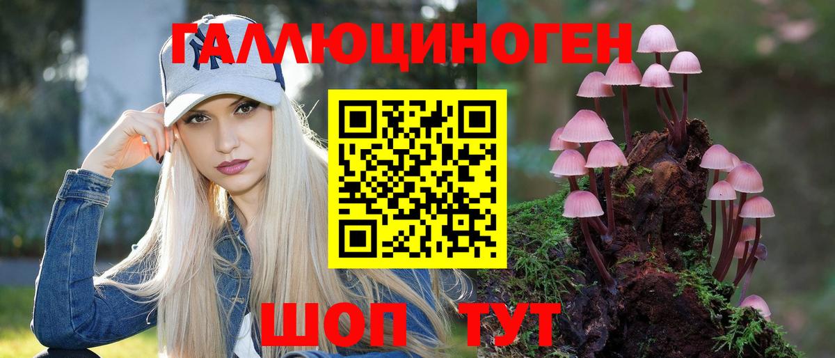 Галлюциногенные грибы мицелий Ачхой-Мартан