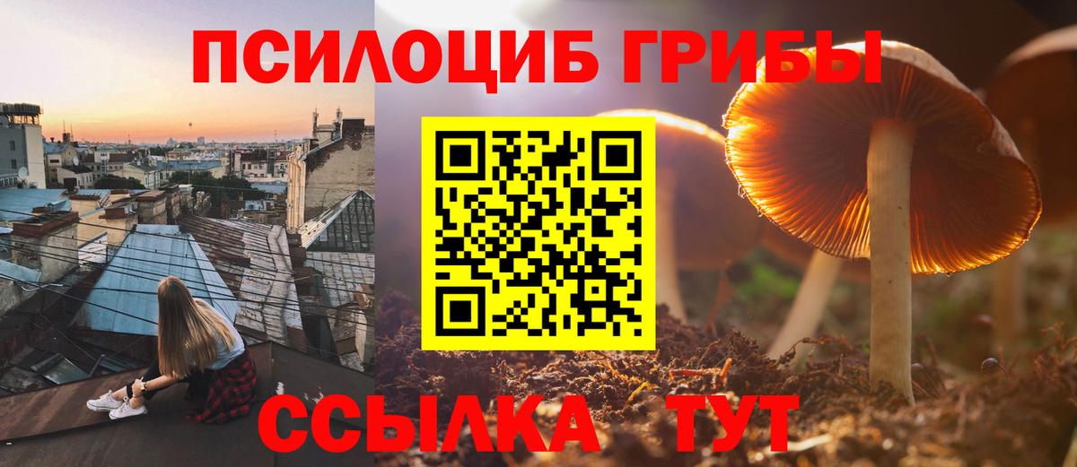 Галлюциногенные грибы мицелий  Галлюциногенные грибы GOLDEN TEACHER  Вход с VPN  Ачхой-Мартан 